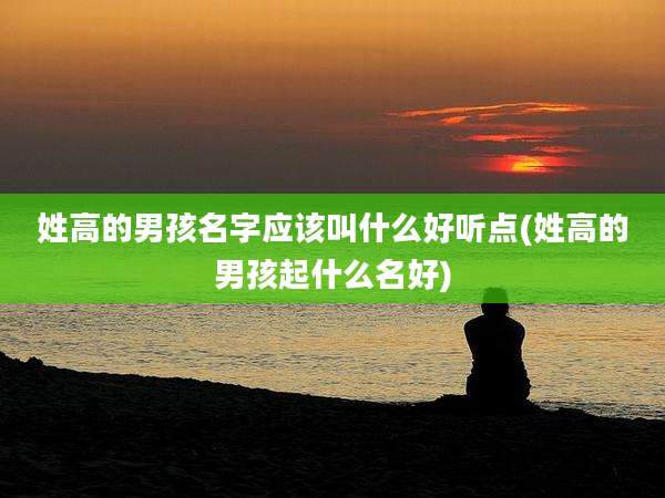 姓高的男孩名字应该叫什么好听点(姓高的男孩起什么名好)