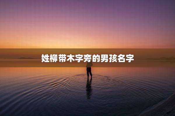 姓柳带木字旁的男孩名字