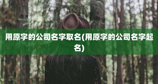用原字的公司名字取名(用原字的公司名字起名)