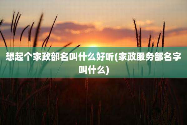 想起个家政部名叫什么好听(家政服务部名字叫什么)