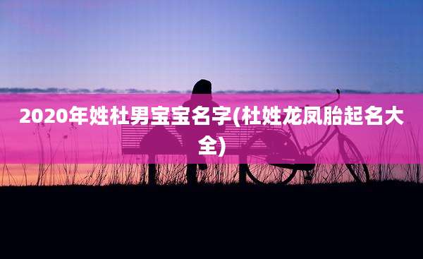 2020年姓杜男宝宝名字(杜姓龙凤胎起名大全)
