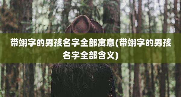 带翊字的男孩名字全部寓意(带翊字的男孩名字全部含义)