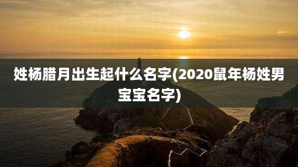 姓杨腊月出生起什么名字(2020鼠年杨姓男宝宝名字)