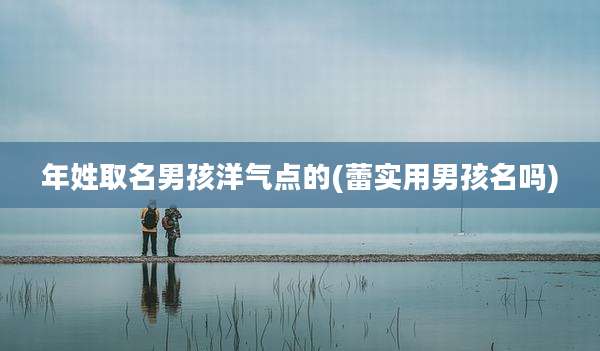 年姓取名男孩洋气点的(蕾实用男孩名吗)