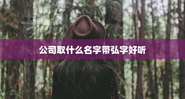 公司取什么名字带弘字好听