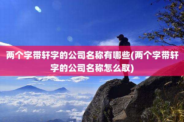 两个字带轩字的公司名称有哪些(两个字带轩字的公司名称怎么取)