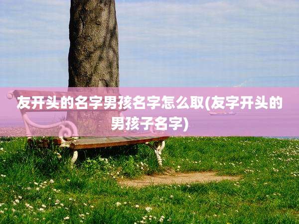 友开头的名字男孩名字怎么取(友字开头的男孩子名字)