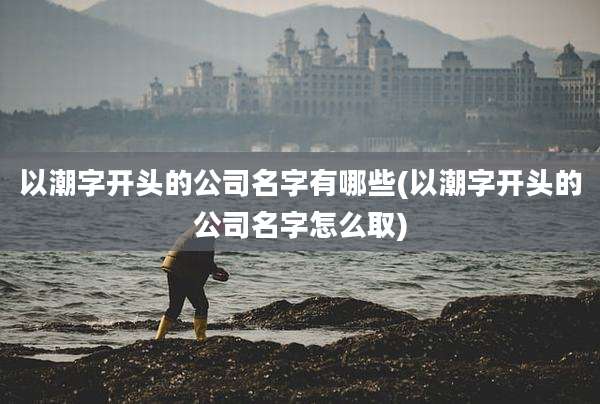 以潮字开头的公司名字有哪些(以潮字开头的公司名字怎么取)