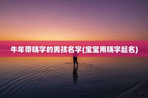 牛年带晓字的男孩名字(宝宝用晓字起名)