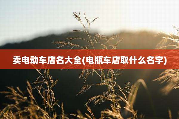 卖电动车店名大全(电瓶车店取什么名字)