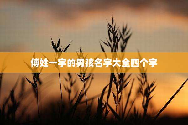 傅姓一字的男孩名字大全四个字