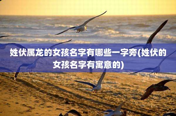 姓伏属龙的女孩名字有哪些一字旁(姓伏的女孩名字有寓意的)