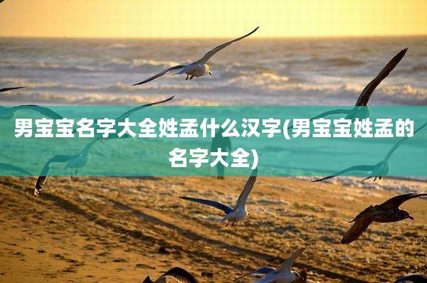 男宝宝名字大全姓孟什么汉字(男宝宝姓孟的名字大全)
