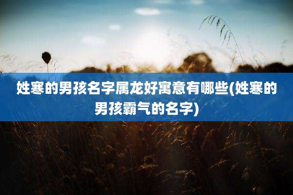 姓寒的男孩名字属龙好寓意有哪些(姓寒的男孩霸气的名字)