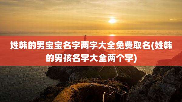 姓韩的男宝宝名字两字大全免费取名(姓韩的男孩名字大全两个字)