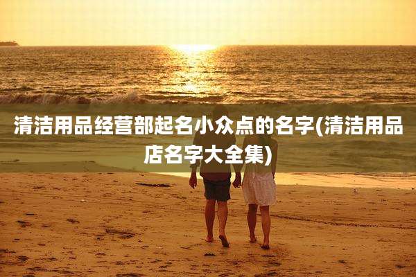 清洁用品经营部起名小众点的名字(清洁用品店名字大全集)