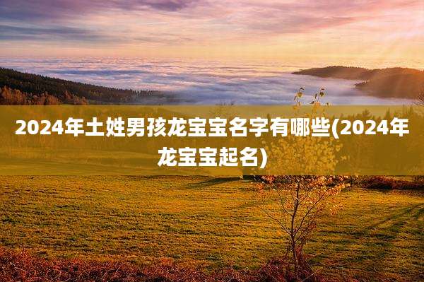 2024年土姓男孩龙宝宝名字有哪些(2024年龙宝宝起名)