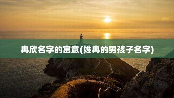 冉欣名字的寓意(姓冉的男孩子名字)