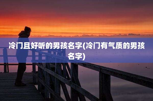 冷门且好听的男孩名字(冷门有气质的男孩名字)