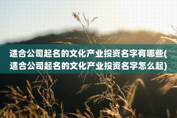 适合公司起名的文化产业投资名字有哪些(适合公司起名的文化产业投资名字怎么起)