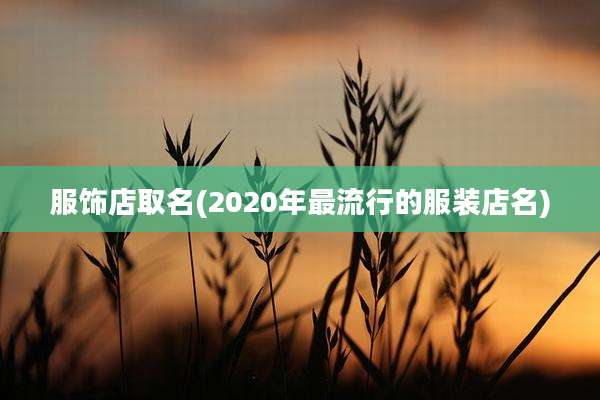 服饰店取名(2020年最流行的服装店名)