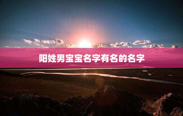 阳姓男宝宝名字有名的名字