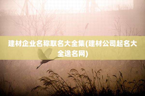 建材企业名称取名大全集(建材公司起名大全逸名网)