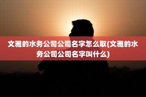 文雅的水务公司公司名字怎么取(文雅的水务公司公司名字叫什么)