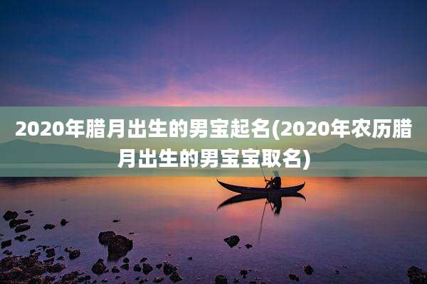2020年腊月出生的男宝起名(2020年农历腊月出生的男宝宝取名)