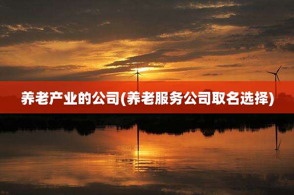 养老产业的公司(养老服务公司取名选择)