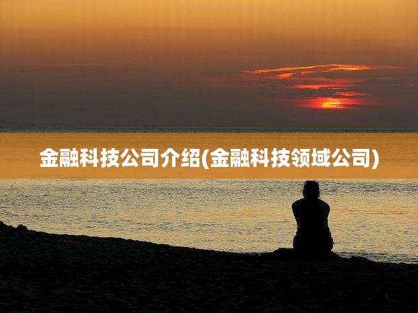 金融科技公司介绍(金融科技领域公司)