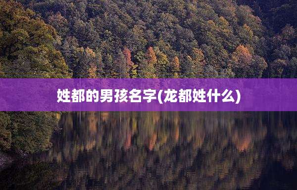 姓都的男孩名字(龙都姓什么)