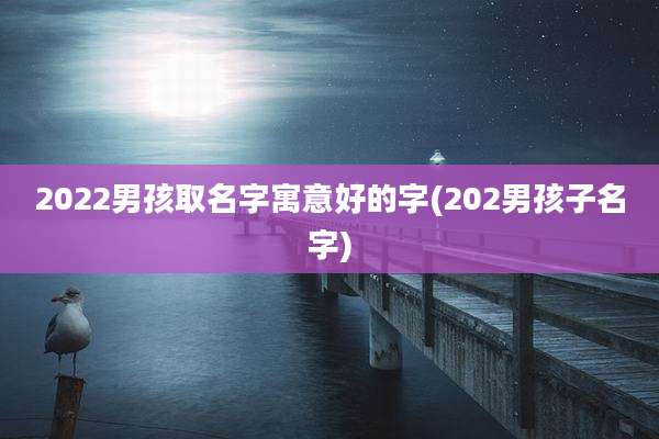 2022男孩取名字寓意好的字(202男孩子名字)