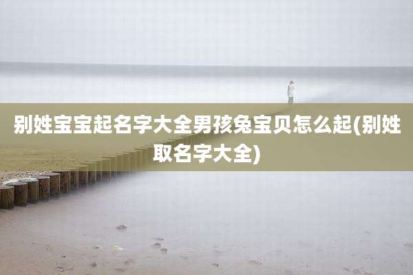 别姓宝宝起名字大全男孩兔宝贝怎么起(别姓取名字大全)