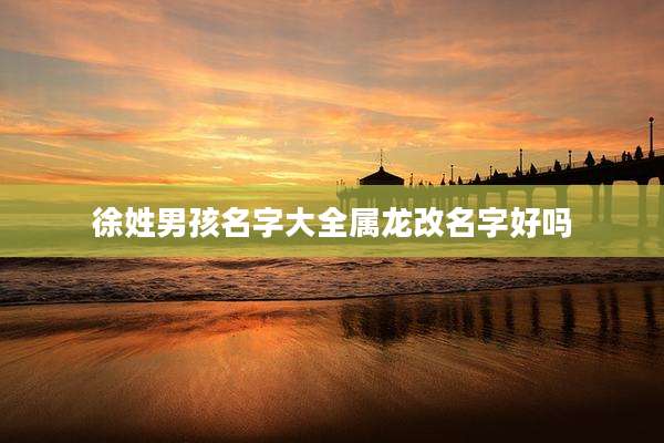 徐姓男孩名字大全属龙改名字好吗