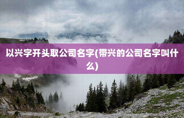 以兴字开头取公司名字(带兴的公司名字叫什么)