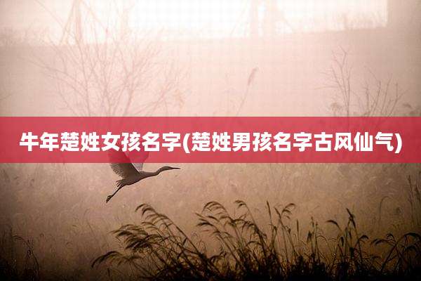 牛年楚姓女孩名字(楚姓男孩名字古风仙气)