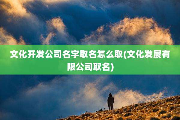 文化开发公司名字取名怎么取(文化发展有限公司取名)