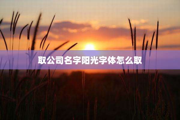 取公司名字阳光字体怎么取