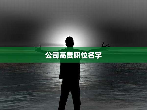 公司高贵职位名字