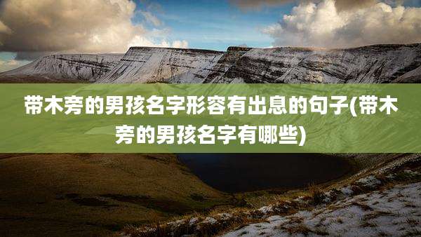 带木旁的男孩名字形容有出息的句子(带木旁的男孩名字有哪些)