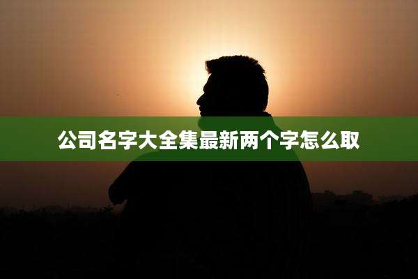 公司名字大全集最新两个字怎么取