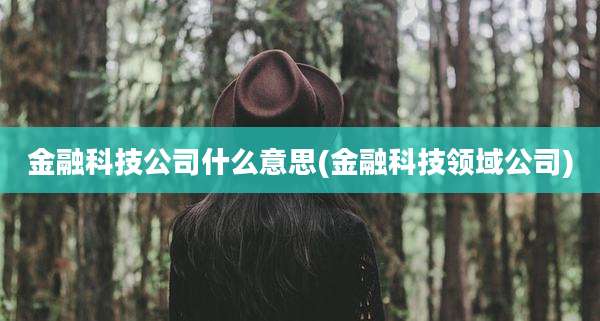 金融科技公司什么意思(金融科技领域公司)