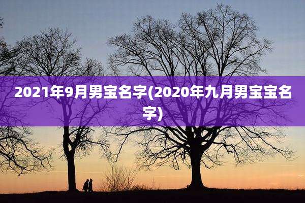 2021年9月男宝名字(2020年九月男宝宝名字)