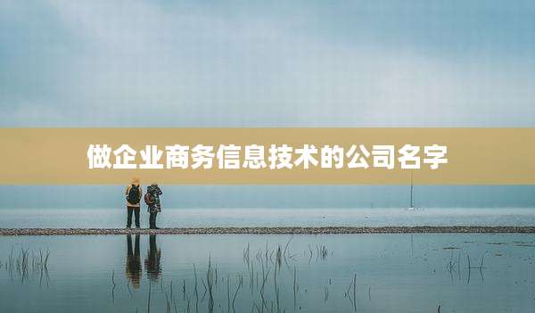 做企业商务信息技术的公司名字