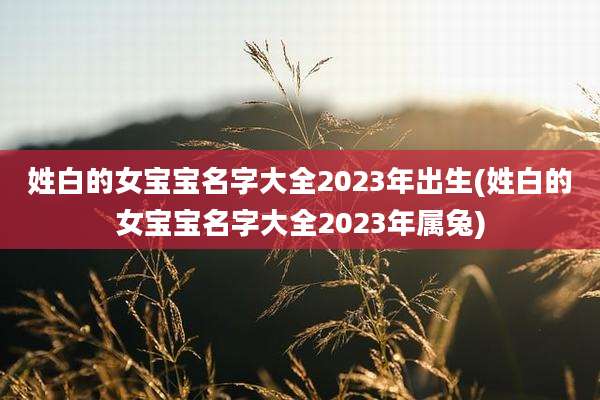 姓白的女宝宝名字大全2023年出生(姓白的女宝宝名字大全2023年属兔)