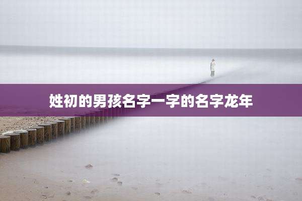 姓初的男孩名字一字的名字龙年
