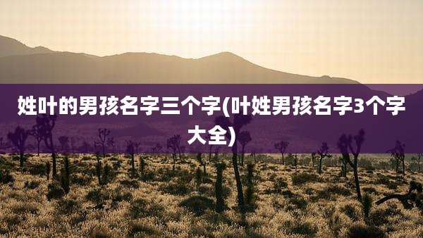 姓叶的男孩名字三个字(叶姓男孩名字3个字大全)