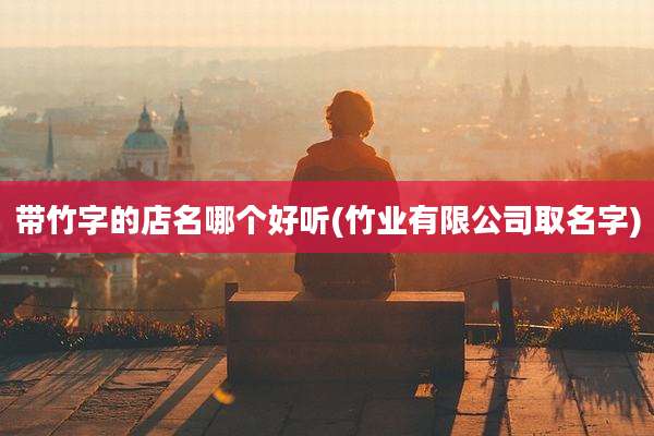 带竹字的店名哪个好听(竹业有限公司取名字)