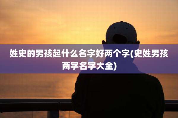 姓史的男孩起什么名字好两个字(史姓男孩两字名字大全)